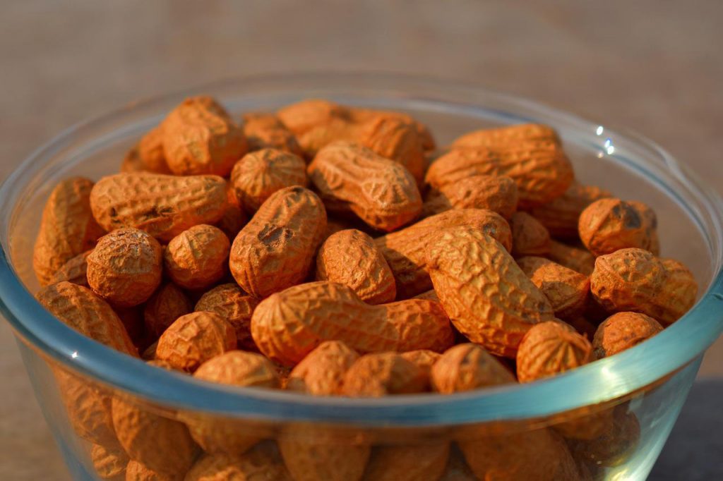Is Ground nut Good For Ulcer Patient
